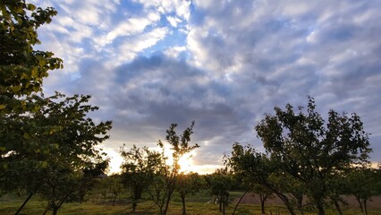 clouds and trees