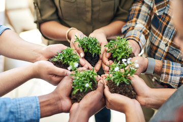 Earth day, nature plants and hands of business people for new flower life, green leaf or future...