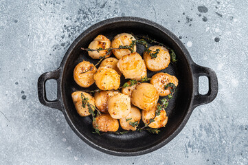 Scallops seared in garlic, thyme and butter served in cast iron skillet. Gray background. Top view....