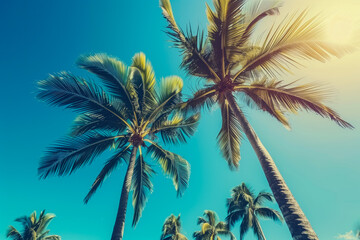 Looking up at blue sky and palm trees, view from below, vintage style, tropical beach and summer background, travel concept