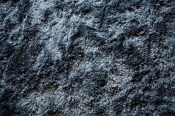 A close up of a black and white furry rug with a cat