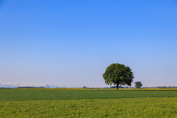 View of the Alps from a country road near the village of Weil in Bavaria with the tower of St...