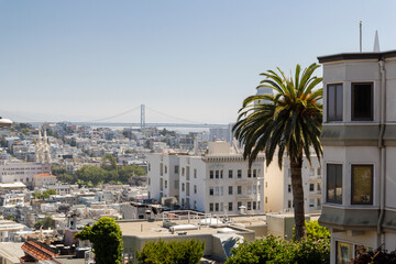 beautiful view over San Francisco in the morning from the so called russian hill at Lombard Street 