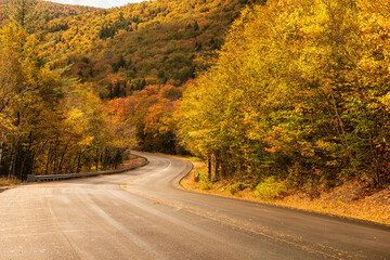 Fototapeta premium Deserted road in the autumn mountains. Traveling around the USA
