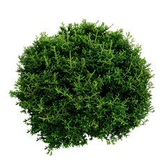 green grass isolated on white background Generative AI