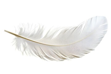 Fototapeta premium A single white feather on plain surface