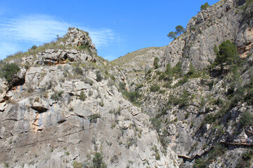 trail in the mountains