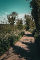 droga w śród pól i łąk