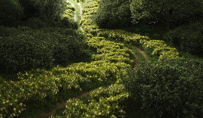 A narrow, partly overgrown path through the semi-darkness of a forest, flowering bushes frame the...