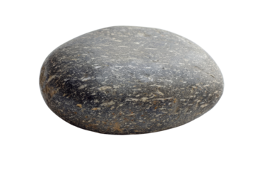 A gray stone, smooth, oval-shaped, with a rough texture.