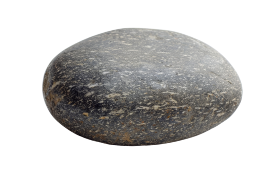 A gray stone, smooth, oval-shaped, with a rough texture.
