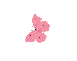 a colorful butterfly on a white background.