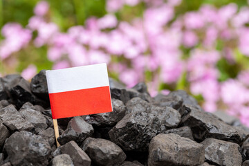 Poland coal. Energy and industrial concept. a coal heap with a Polish flag and beautifully blooming...