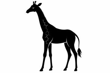  A giraffe silhouette black vector artwork illustration 