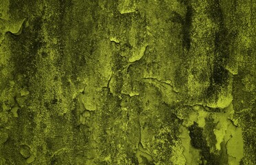 yellow wall theme background, Horror midnight view background of blank spooky vibrant bright mustard yellow grunge spider web or cobweb on halloween theme textured rustic scratched wallpaper 