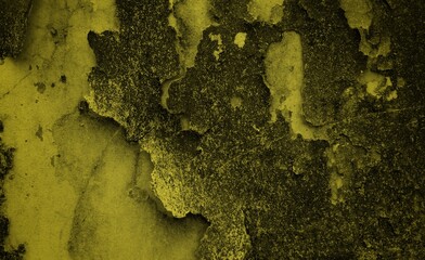 yellow wall theme background, Horror midnight view background of blank spooky vibrant bright mustard yellow grunge spider web or cobweb on halloween theme textured rustic scratched wallpaper 