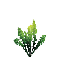 Vector of realistic grass