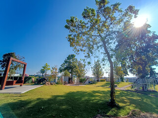 Obraz premium Landscape of Khaoyai national forest park in Nakorn ratchasima,Thailand