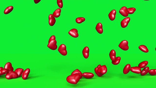 Rain of 3d shiny isometric red hearts slowly falling and stacking on the green screen floor. Love, romantic effect and Valentine's Day concept. Wedding background, loop