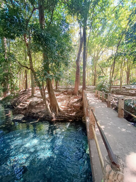 Landscape of Ban Tha Chang spring,located in Pakchong town,Nakorn Ratchasima of Thailand