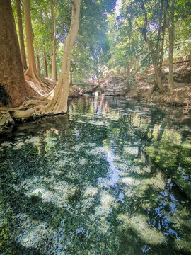 Landscape of Ban Tha Chang spring,located in Pakchong town,Nakorn Ratchasima of Thailand
