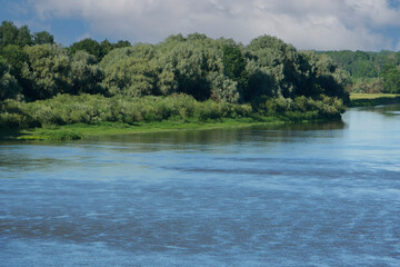 River bank with lush vegetation of bushes, trees, grass.