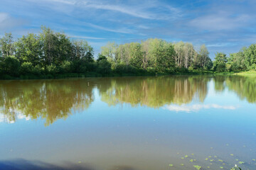 Forest bank of a river during the day in good weather.