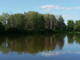 Forest bank of a river during the day in good weather.