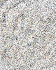 Chia seed pudding closeup macro food photography