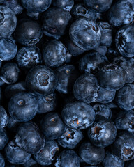 closeup of a bunch of blue blueberries