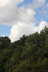 A minimalist view of green bushes growing towards te cloudy sky.