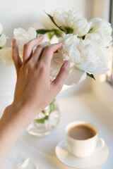 Gentle touch amidst blooming peonies. A delicate woman hand arranges fresh white peony flowers in a vase, complementing the tranquility of a warm morning cup of coffee on a light filled window sill.
