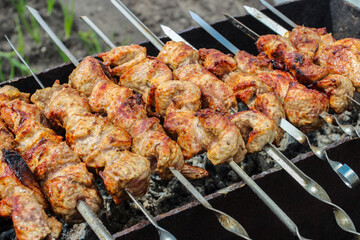 Kebabs on the grill
