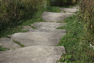 stone path in the garden