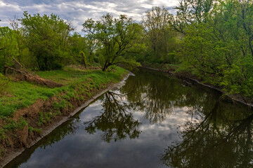 river in the forest