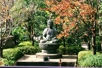fountain in the park