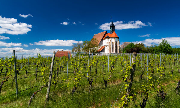 Wallfahrtskirche Maria im Weingarten bei Volkach am Main, Bayern, Deutschland