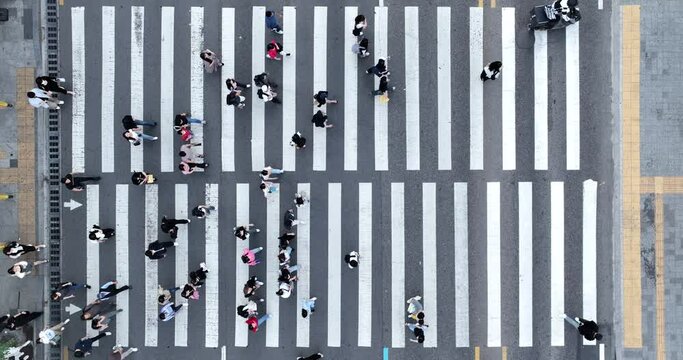 대한민국 서울 강남 횡단보도 건너는 사람들
