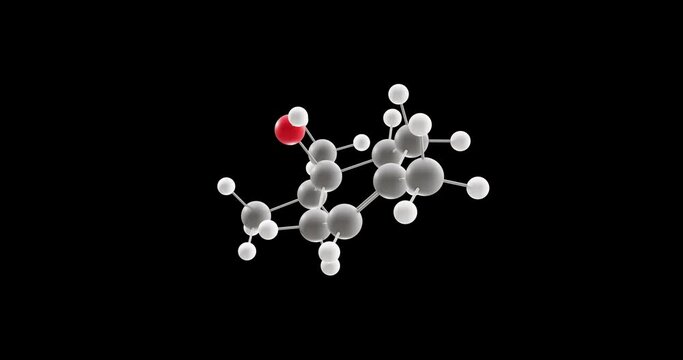 Terpinen-4-ol molecule, rotating 3D model of isomer of terpineol, looped video on a black background