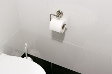 White toilet paper roll hanging on a modern chrome holder in bathroom