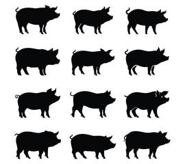 set of Silhouette pig vector illustration.