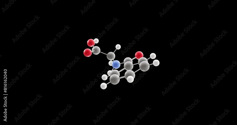 Wall mural Hippuric acid molecule, rotating 3D model of carboxylic acid, looped video on a black background