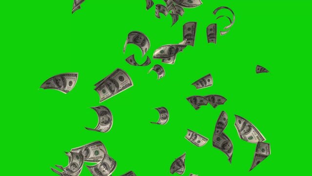 Green screen dollar rain. 3D animation. Animated greenscreen video of Banknotes of the US American Dollar, 100 USD, green screen background, chroma key,