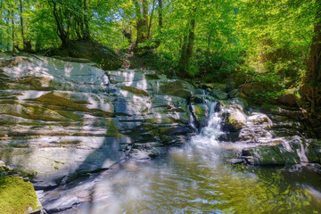 rocks in the creek. peaceful woodland landscape in summer. purity in nature. unnamed waterfall on...