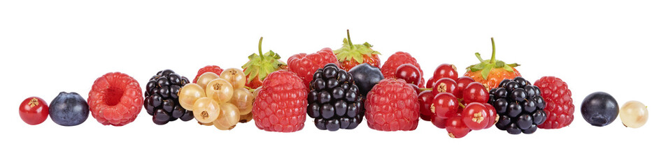 Petits fruits rouges	