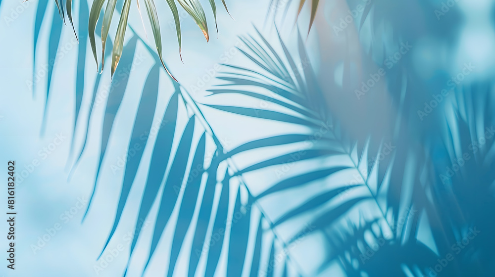 Poster blurred shadow from palm leaves on the light blue wall minimal abstract background for product prese