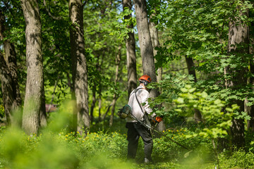 A man is mowing the grass with a manual lawnmower