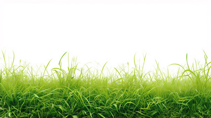 Fototapeta premium A field of green grass with a white background. The grass is tall and lush, giving the impression of a peaceful, serene environment