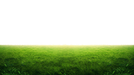 Obraz premium A field of green grass with a white background. The grass is lush and vibrant, creating a peaceful and serene atmosphere
