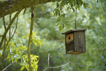 Pequeña casita de pájaro en las ramas de un árbol entre hojas